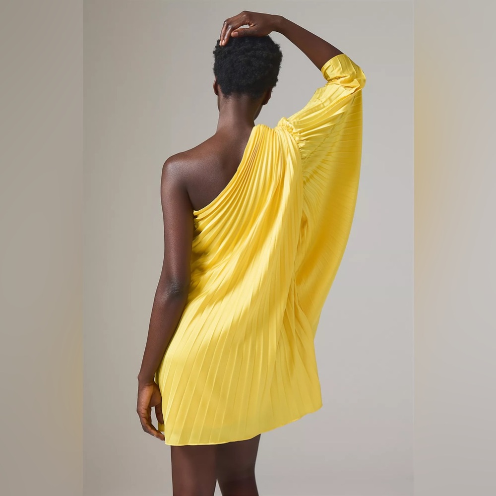 Hutch One-Shoulder Pleated Mini Dress - Picture 4 of 13